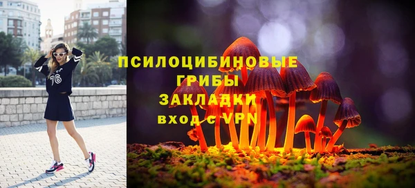 не бодяженный Магадан