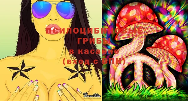 PSILOCYBIN Новый Уренгой