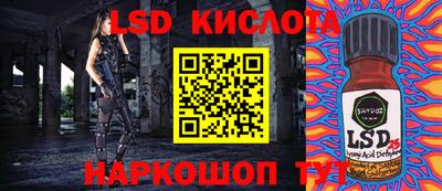 прущие грибы Заволжье