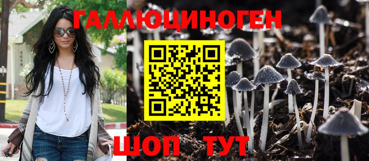 Ивантеевка  Галлюциногенные грибы Magic Shrooms  Вход с VPN 