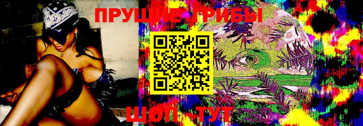 Псилоцибиновые грибы Cubensis Ивантеевка