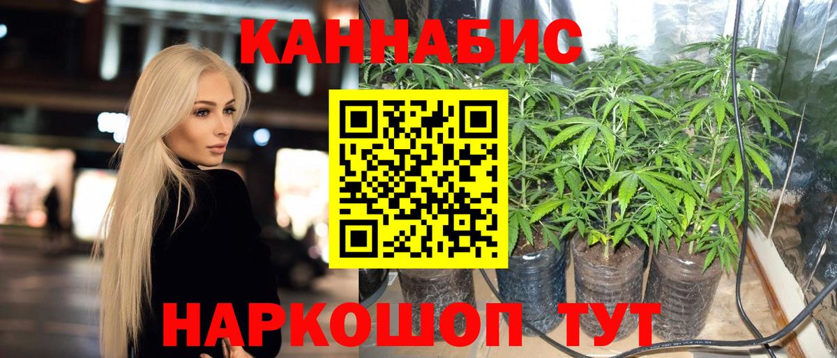 Канабис OG Kush Ивантеевка